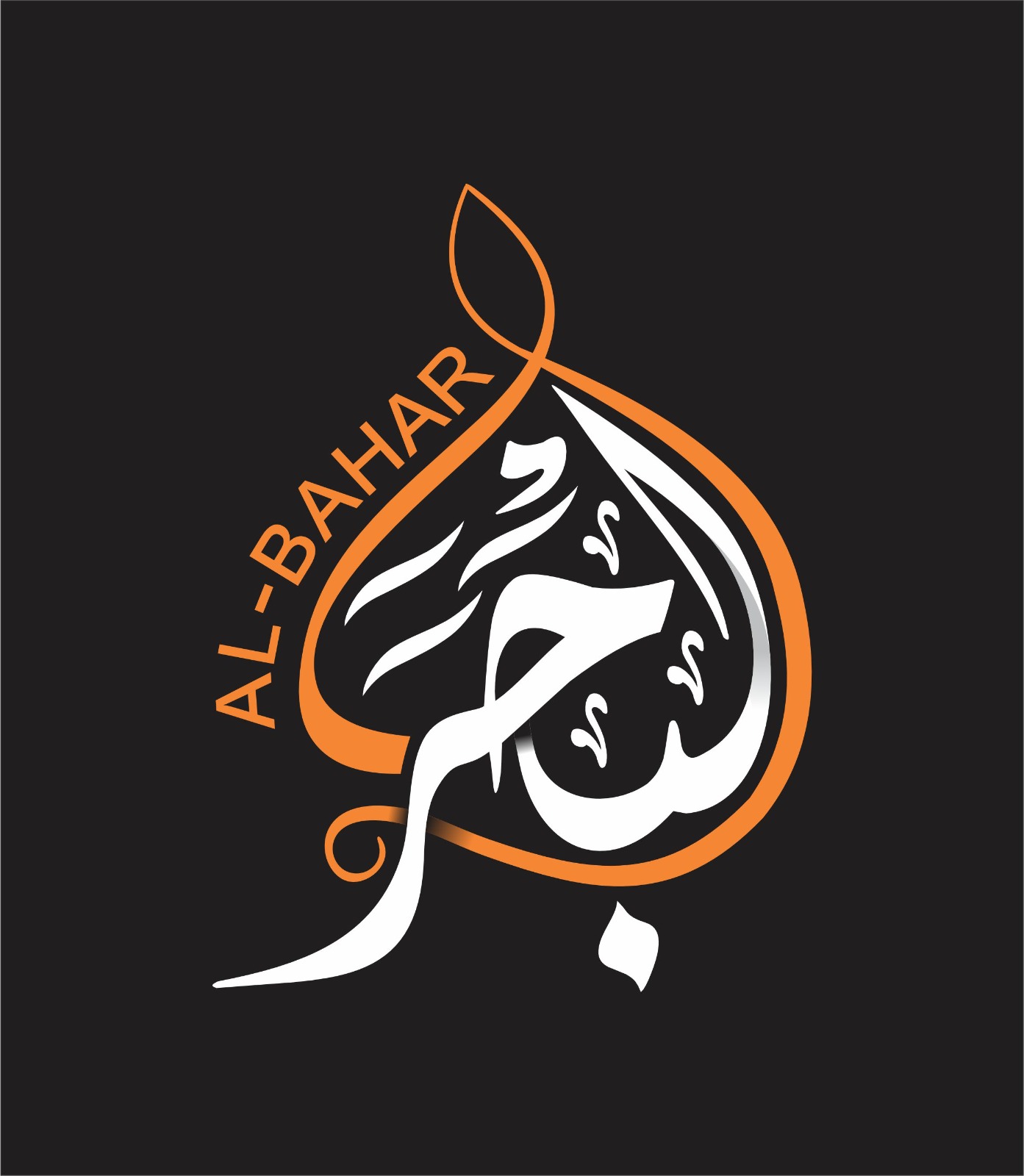Custom Logo Design 16
